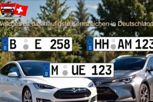 Welches ist das häufigste Kennzeichen in Deutschland