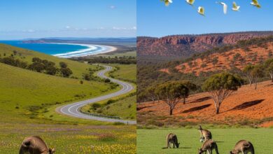 Australien entdecken: ein Land, viele Gesichter