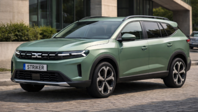 Dacia Striker: Der Kombi-Überraschungshit?